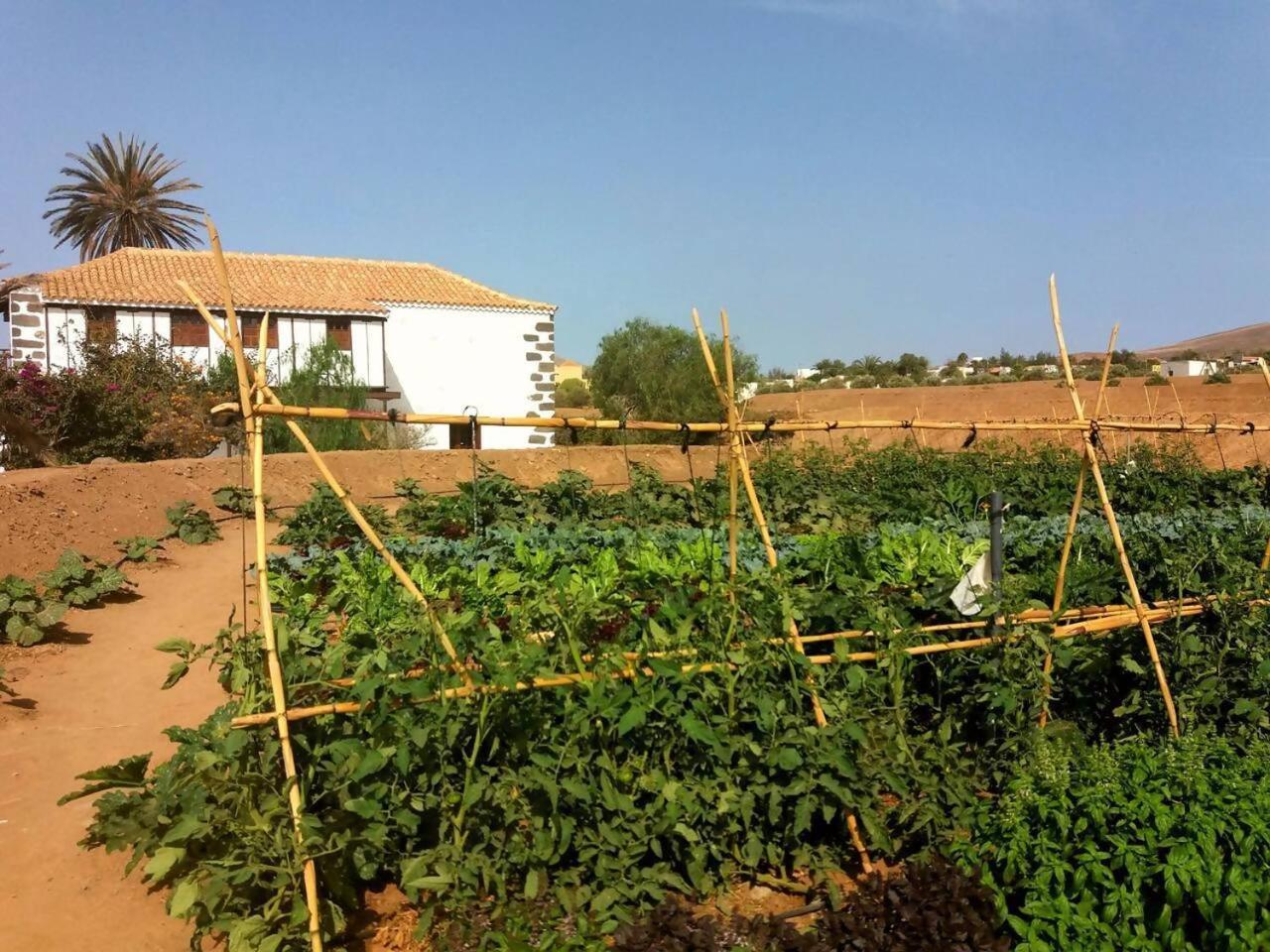 Rural Rugama Villa Puerto del Rosario  Bagian luar foto