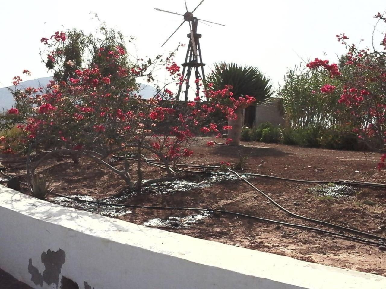 Rural Rugama Villa Puerto del Rosario  Bagian luar foto